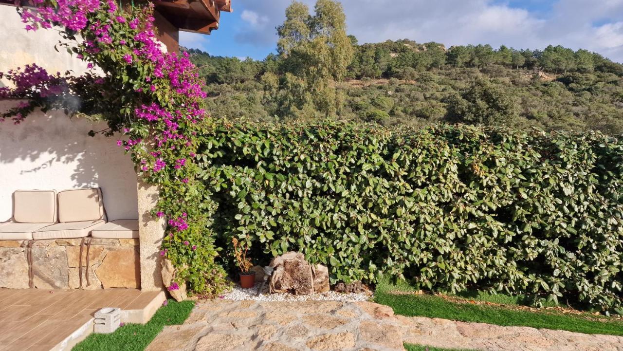 Villa Rifugio Monte Pino Telti Exterior foto